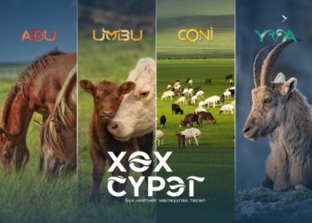 Хөх сүрэг төслийн амжилтыг цаг хугацаа харуулж байна