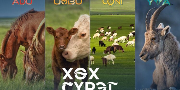 Хөх сүрэг төслийн амжилтыг цаг хугацаа харуулж байна