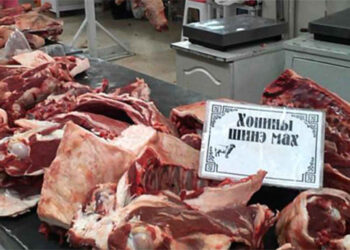 Малд тариаг буруу тарих нь маханд өвчин үүсгэдэг