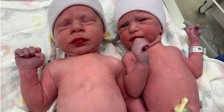 30 жил хадгалсан хөлдөөсөн үр хөврөлийг амжилттай бойжуулж, ихрүүд мэндэлжээ