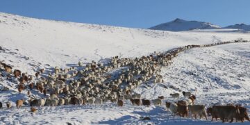 Нийт нутгийн 60 орчим хувьд зудын эрсдэл өндөр байна