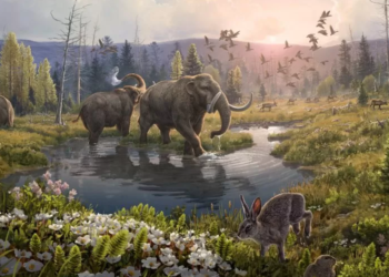 Эрдэмтэд хоёр сая жилийн өмнөх ДНК-г олж илрүүлжээ