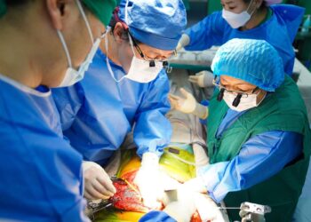 Монгол эмч нар ЭЛЭГ ШИЛЖҮҮЛЭН СУУЛГАХ 200 дахь мэс заслаа амжилттай хийлээ