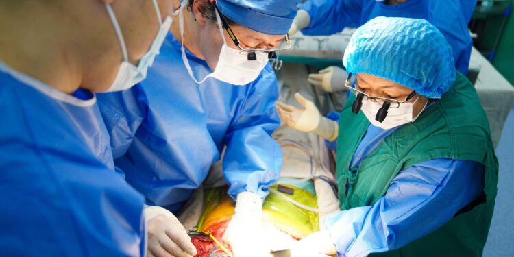 Монгол эмч нар ЭЛЭГ ШИЛЖҮҮЛЭН СУУЛГАХ 200 дахь мэс заслаа амжилттай хийлээ