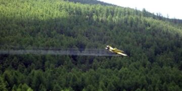 Ойн хөнөөлт шавжид өртсөн 300 мянган га талбайд хор цацна