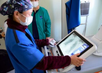 Эрт илрүүлэг, оношилгоонд хүн амын 31.1 хувь нь хамрагджээ