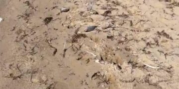 Буйр нууранд орох, загас барихыг хориглов