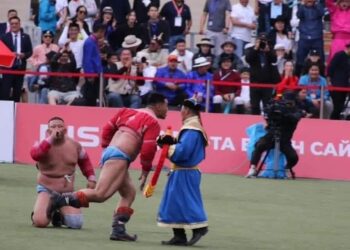 Даян аварга Н.Батсуурь салаавч гаргаагүй болж хэрэг хаагдав