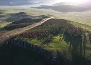 Рио Тинто Монгол орны ойн санг хамгаалах "Эрүүл ой" төслийг хэрэгжүүлж байна