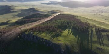 Рио Тинто Монгол орны ойн санг хамгаалах "Эрүүл ой" төслийг хэрэгжүүлж байна