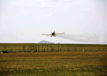 “Рио Тинто Монгол” 1.1 тэрбум мод аврах тэмцлийн ажлаа эхлүүллээ