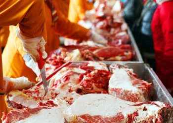 Малчдын гараас өвлийн идшээ аваарай