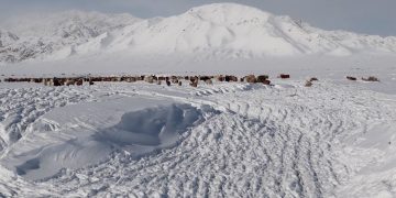 Увсын Малчин суманд 37 см зузаан цасан бүрхүүл тогтжээ