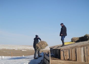 АНУ-аас зудын аюулыг давахад зориулж 200 мянган долларын тусламж үзүүлнэ