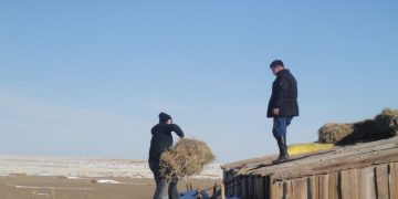 АНУ-аас зудын аюулыг давахад зориулж 200 мянган долларын тусламж үзүүлнэ