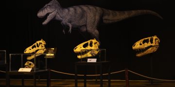 Үлэг гүрвэлийн 16 олдворыг эх орондоо буцаан авч ирлээ