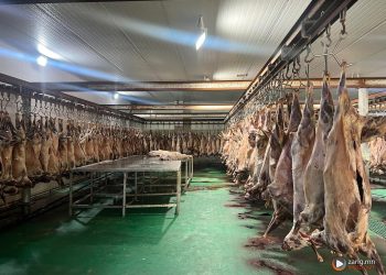 Эмээлтийн махны үйлдвэрт хяналт шалгалт хийж байна