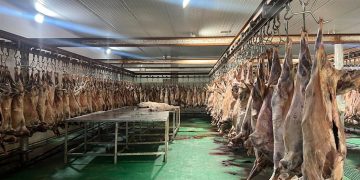 Эмээлтийн махны үйлдвэрт хяналт шалгалт хийж байна