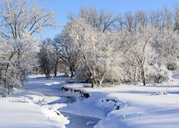 Хүчтэй шороон болон цасан шуурга шуурна