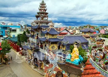 Вьетнамд бакалавр, магистр, докторын хөтөлбөрт суралцуулах сонгон шалгаруулалтад бүртгэж байна