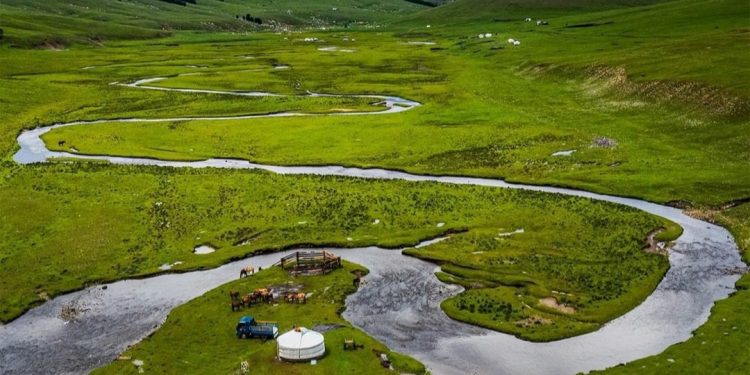 Энэ сарын 12-ноос ихэнх нутгаар хална