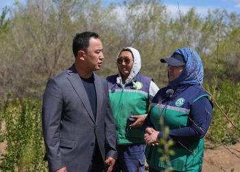 Өмнөговь аймаг нэг сая мод тарьж ургуулаад байна