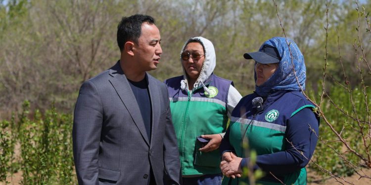 Өмнөговь аймаг нэг сая мод тарьж ургуулаад байна