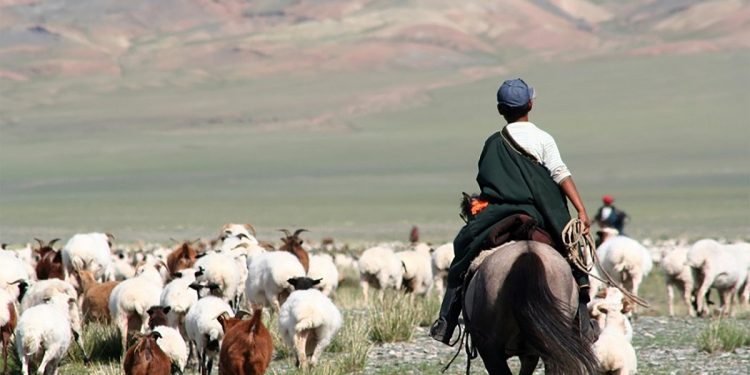 ШИНЭ ХОРШОО: Өнөөдрийн зээл, маргаашийн өр