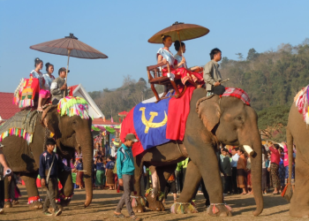 Сая сая жуулчин даллах “Сая заантай хаант улс-ЛАОС"