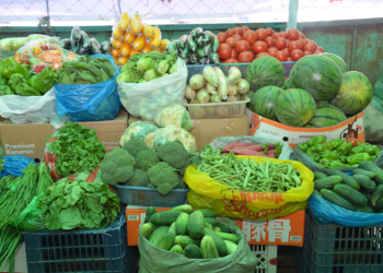 Шинэ ургацын ногоог Төв цэнгэлдэхэд худалдаална