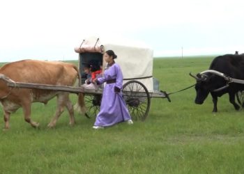 Нүүдэлчин соёл, ахуйг хот газрынхан илүүтэй сонирхох болжээ