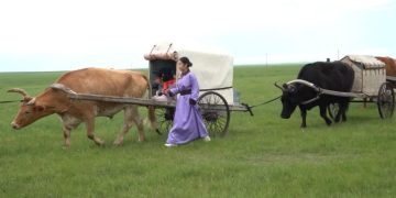 Нүүдэлчин соёл, ахуйг хот газрынхан илүүтэй сонирхох болжээ