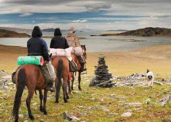 “Монголд зочлох жил”-ийг 2028 он хүртэл үргэлжлүүлнэ