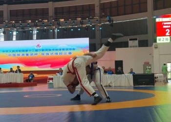 Өвөрмөц дүрэмтэй хотон үндэстний бөх