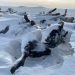 Зургаан аймагт зудын аюул, гамшиг хаалга тогшиж байна