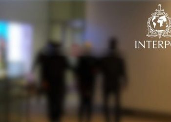 Гадаадад хөдөлмөр эрхлүүлнэ гэж залилагч этгээдийг БНСУ_аас албадан авчирлаа