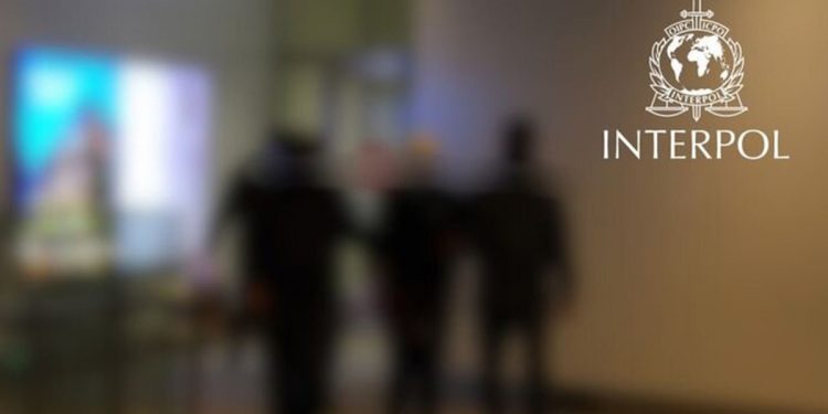 Гадаадад хөдөлмөр эрхлүүлнэ гэж залилагч этгээдийг БНСУ_аас албадан авчирлаа