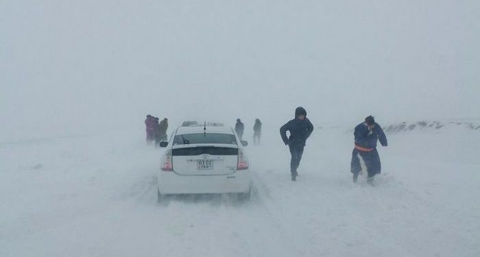 Ихэнх нутгаар цас орж цасан шуурга шуурна