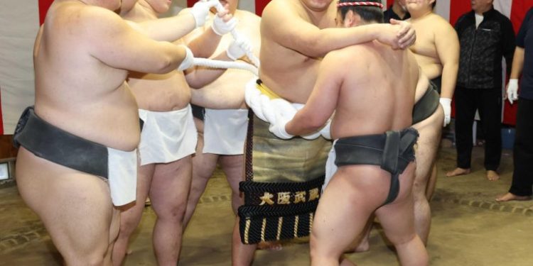 Сүмогийн отгон аварга С.Бямбасүрэн ёслолдоо бэлджээ