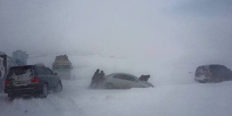 Баруун аймгуудаар цас орж, цасан шуурга шуурна