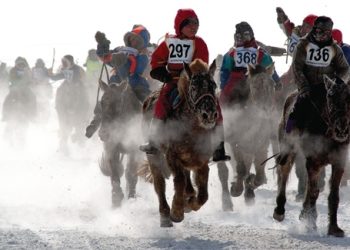 18 наснаас дээш насны хүн унасан хурдан морины ямар ч уралдаан зохион байгуулахгүй гэв