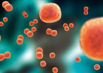 Менингококкийн эсрэг ”Нимерикс” вакциныг Пфайзер компаниас худалдан авна