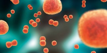 Менингококкийн эсрэг ”Нимерикс” вакциныг Пфайзер компаниас худалдан авна