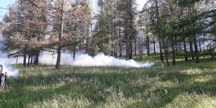 Нийслэлийн ногоон бүсэд зорчихыг хориглолоо