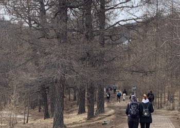 Зургадугаар сарын 10 хүртэл ууланд алхахыг хориглолоо