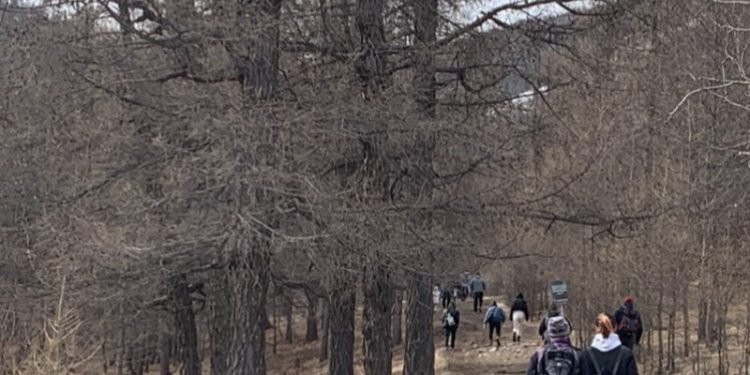 Зургадугаар сарын 10 хүртэл ууланд алхахыг хориглолоо