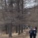 Зургадугаар сарын 10 хүртэл ууланд алхахыг хориглолоо