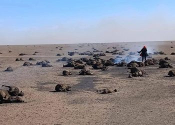 Түймэрт өртсөн айлуудад туслах ажлын хэсэг байгууллаа