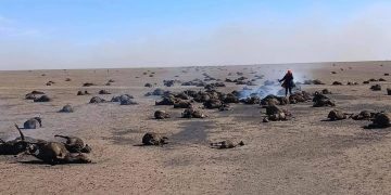 Түймэрт өртсөн айлуудад туслах ажлын хэсэг байгууллаа