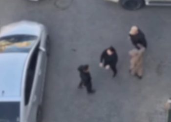 Тоглоомон гар буу гаргаж танхайрсан иргэнийг шалгаж байна